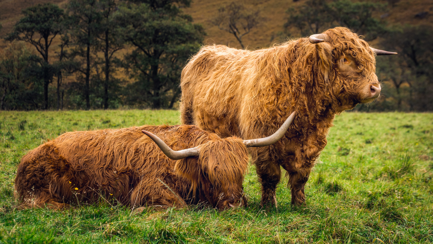 Tourenpaket Schottland